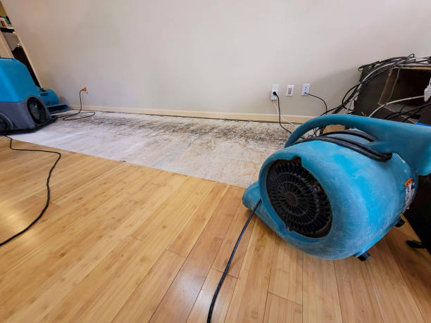 Professional Flood Damage Cleanup technician working in Chula Vista, TX